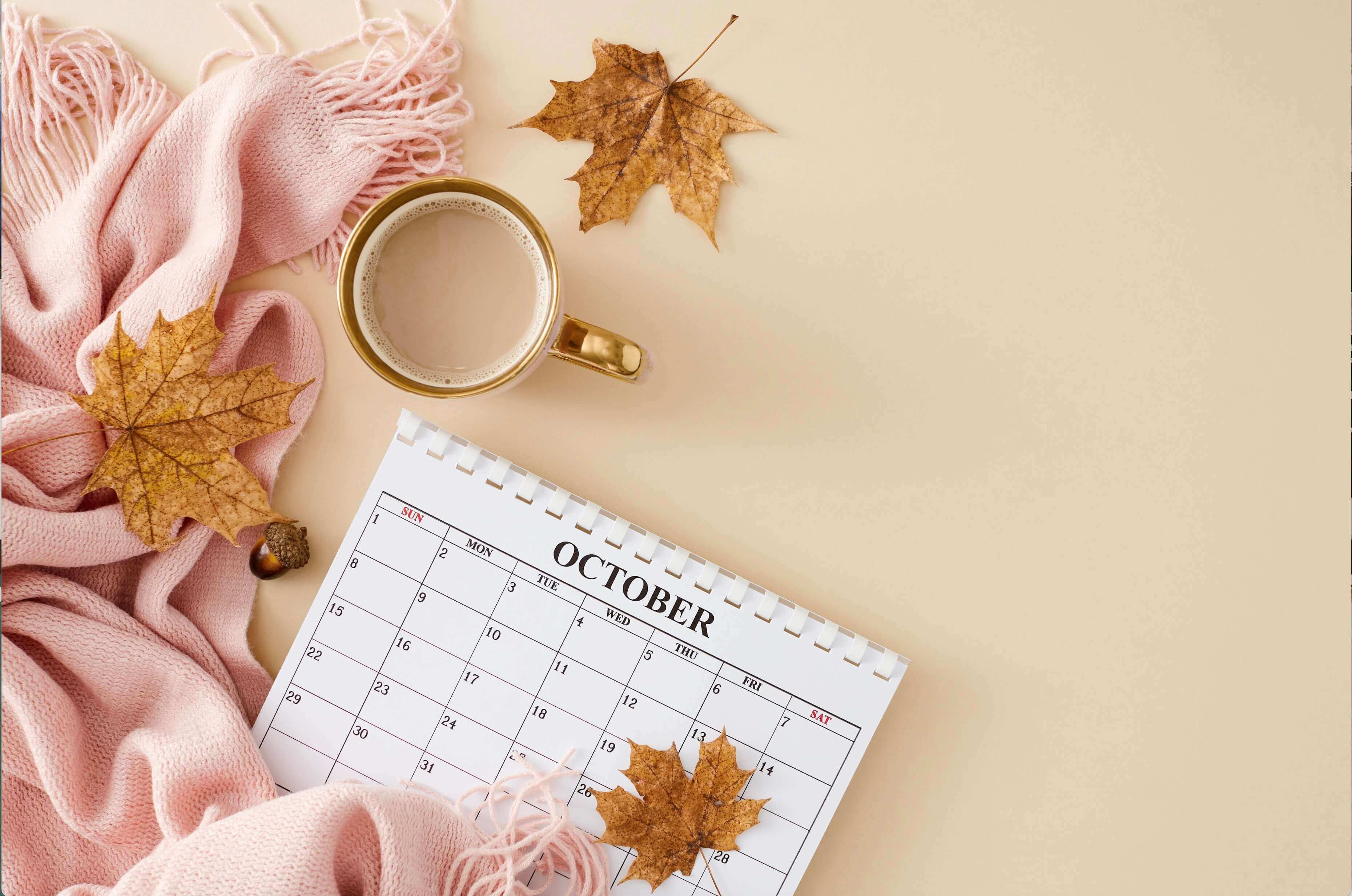 Transitioning to Fall:  Embrace the Chaos with a Side of Pumpkin Spice